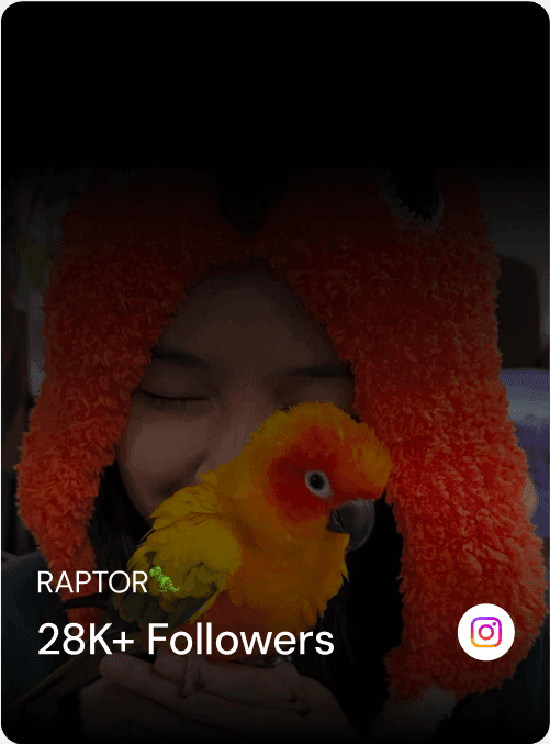 AhaCreator background texture - stone pattern